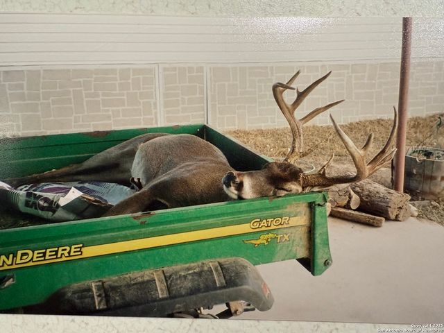 344 E CR 341, Knippa, TX 78801