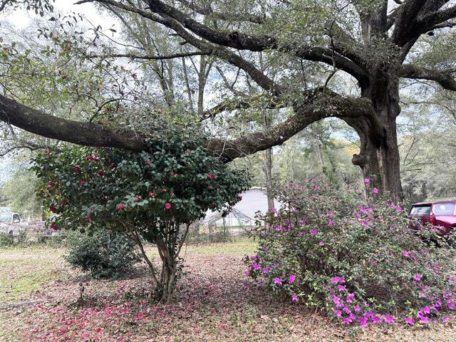 176 Turner Drive, Defuniak Springs, FL 32433