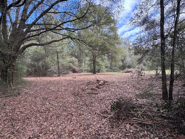 176 Turner Drive, Defuniak Springs, FL 32433