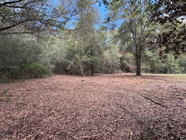 176 Turner Drive, Defuniak Springs, FL 32433