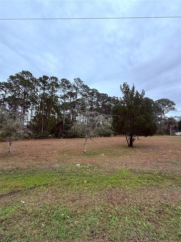 245 ULLIAN TRAIL, Palm Coast, FL 32164