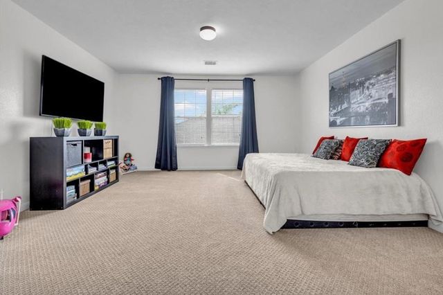 21414 Sagrantino Court, Katy, TX 77449