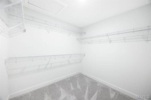 305 Frontenac Road, O'fallon, IL 62269