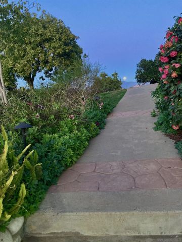 5398 Camino Jasmine, Bonsall, CA 92003