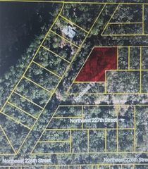 22733 NE 115TH AVENUE, Fort Mc Coy, FL 32134