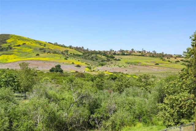 31 Black Hawk, Irvine, CA 92603