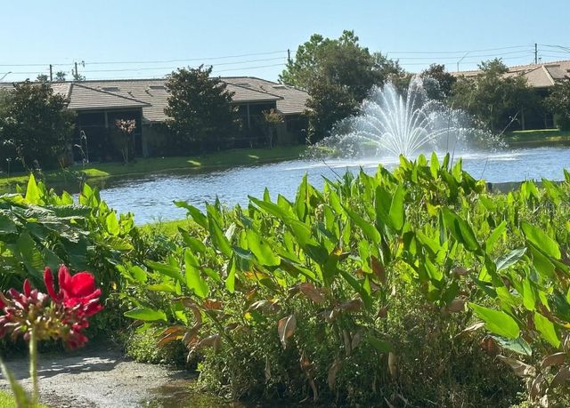 2567 GLORIOSA DRIVE, Palm Harbor, FL 34684