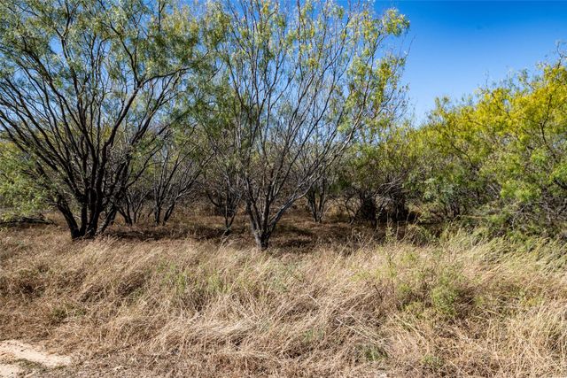 Lot 194 Grand Harbor Boulevard, Chico, TX 76431