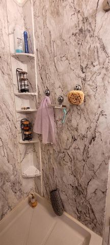 8335 FANTASIA PARK WAY, Riverview, FL 33578