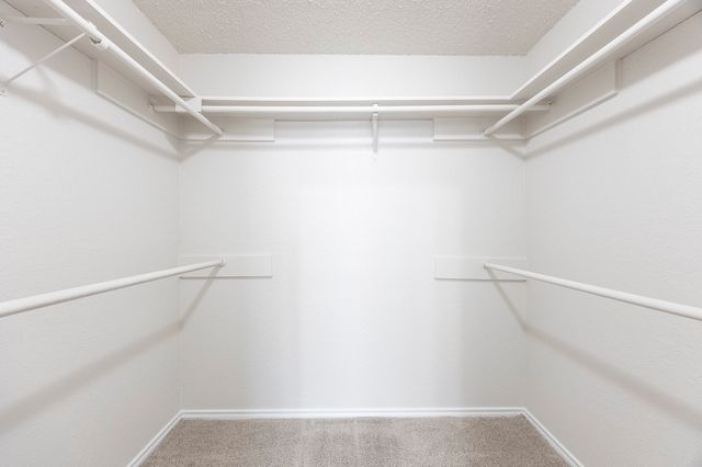 2201 Rockbluff Drive, Rowlett, TX 75088