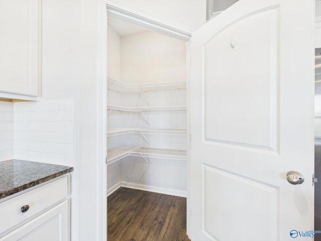 506 E River Landing Blvd, Madison, AL 35756