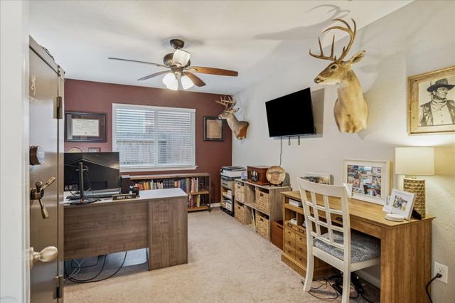 20019 Alcea Court, Spring, TX 77379