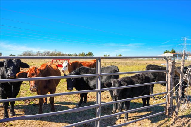 5363 County Road 2280, Blooming Grove, TX 76626