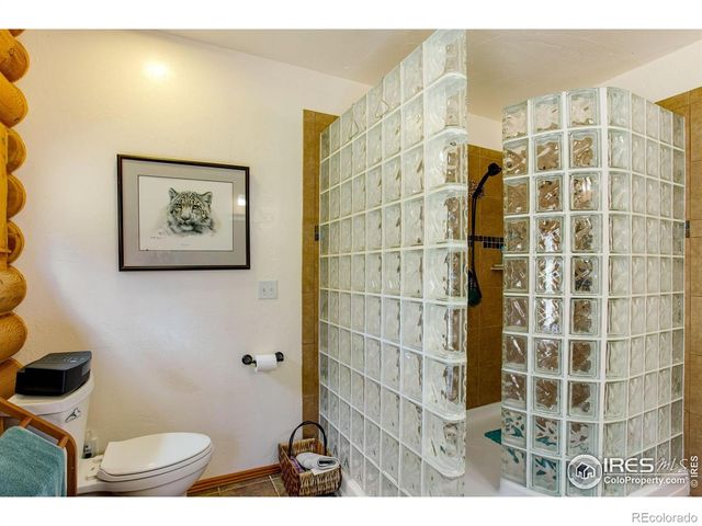 427 Wilderness Ridge Way, Bellvue, CO 80512