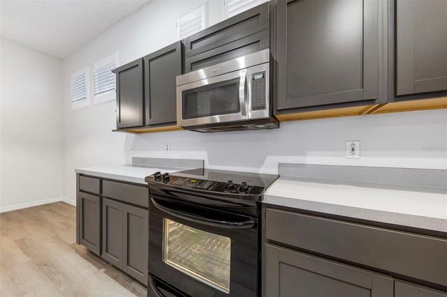 834 LAKE EVALYN DRIVE, Celebration, FL 34747