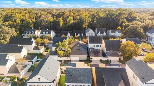 834 LAKE EVALYN DRIVE, Celebration, FL 34747