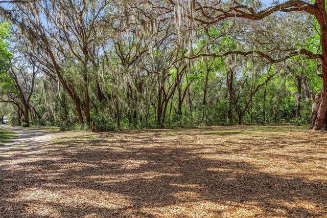 2917 LAKE GRIFFIN ROAD, Lady Lake, FL 32159