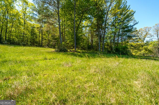 LOT 3 Spring Camp Road, Ellijay, GA 30536
