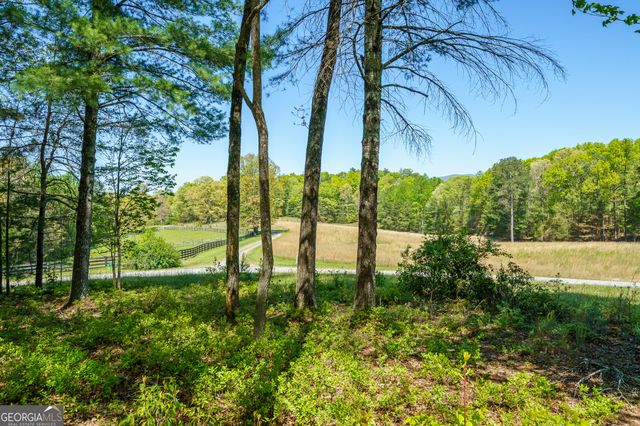 LOT 3 Spring Camp Road, Ellijay, GA 30536