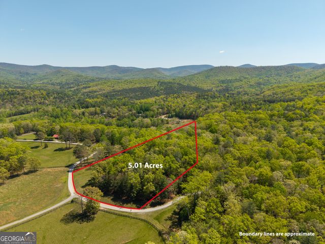 LOT 3 Spring Camp Road, Ellijay, GA 30536