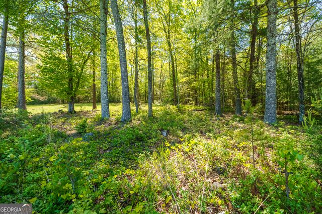 LOT 3 Spring Camp Road, Ellijay, GA 30536