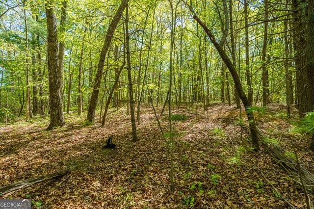 LOT 3 Spring Camp Road, Ellijay, GA 30536