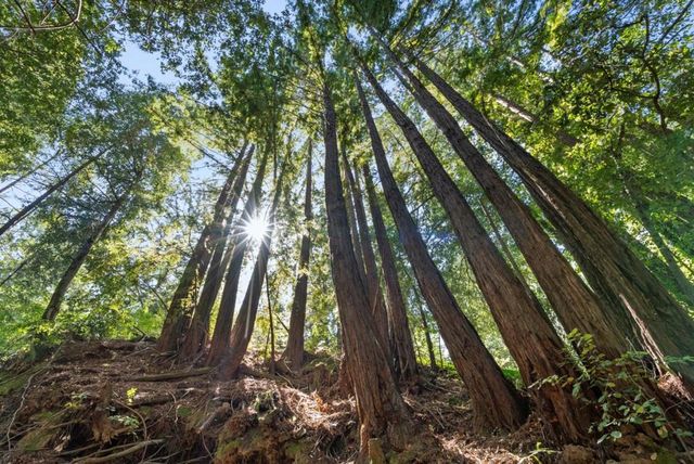 26650 Soquel San Jose Road, Los Gatos, CA 95033