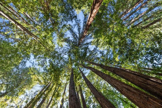 26650 Soquel San Jose Road, Los Gatos, CA 95033