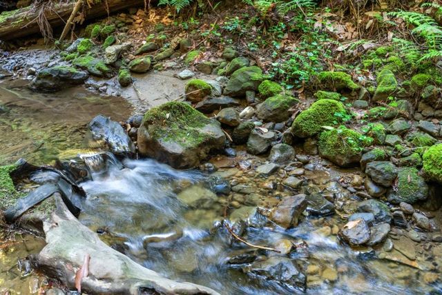 26650 Soquel San Jose Road, Los Gatos, CA 95033