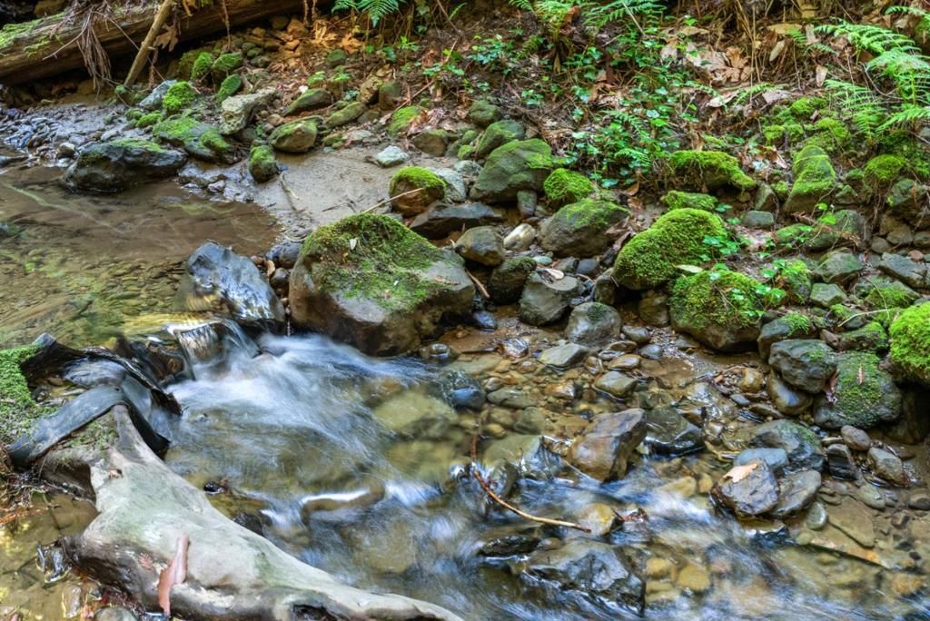 Image 63 of property listing at 26650 Soquel San Jose Road, Los Gatos, CA 95033