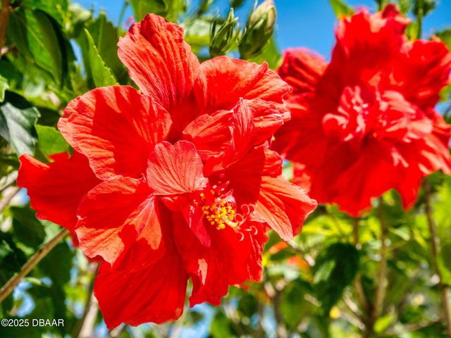 3800 Saxon Drive # 250, New Smyrna Beach, FL 32169