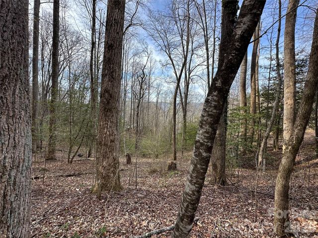 440 Holly Falls Lane, Sylva, NC 28779