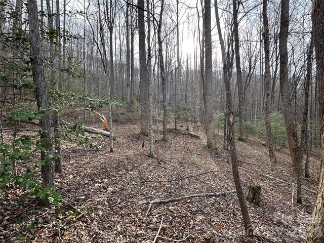 440 Holly Falls Lane, Sylva, NC 28779