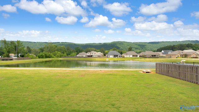 9120 Wagon Pass Way SE, Owens Cross Roads, AL 35763