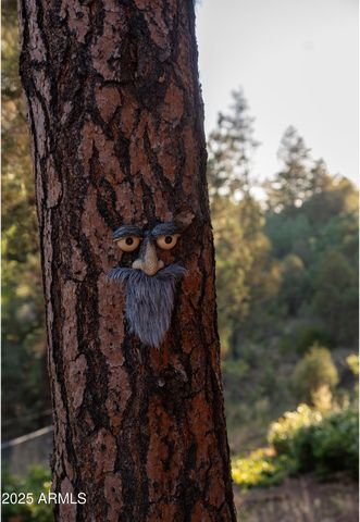 9651 W WILD TURKEY Lane, Strawberry, AZ 85544