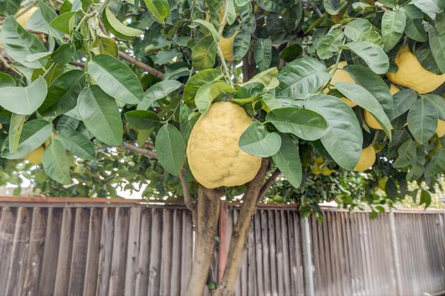 10009 Copco Ln, Stockton, CA 95219