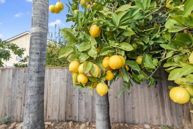 10009 Copco Ln, Stockton, CA 95219