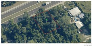 9314 E Gulf To Lake Highway, Inverness, FL 34450