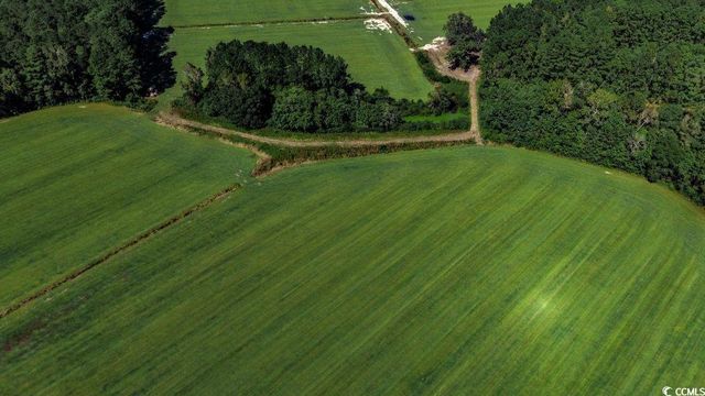 7.93 Acs Old Bucksville Rd., Conway, SC 29527