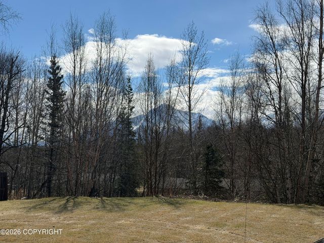 9931 E Puffin Drive, Palmer, AK 99645