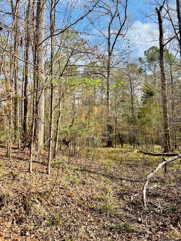 15397 Rogers Rd, St Francisville, LA 70775