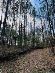 15397 Rogers Rd, St Francisville, LA 70775