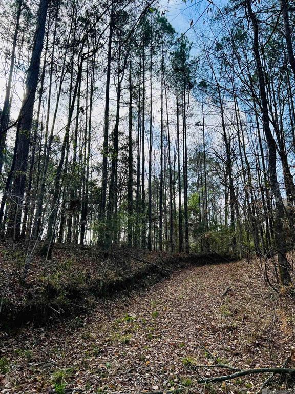 15397 Rogers Rd, St Francisville, LA 70775