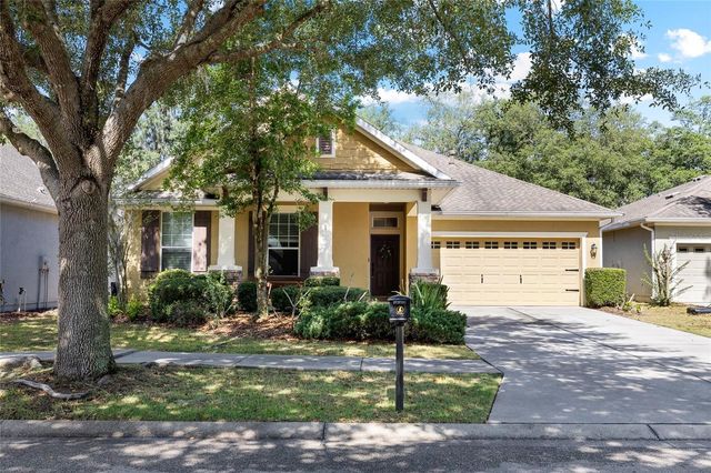 15841 STARLING WATER DRIVE, Lithia, FL 33547