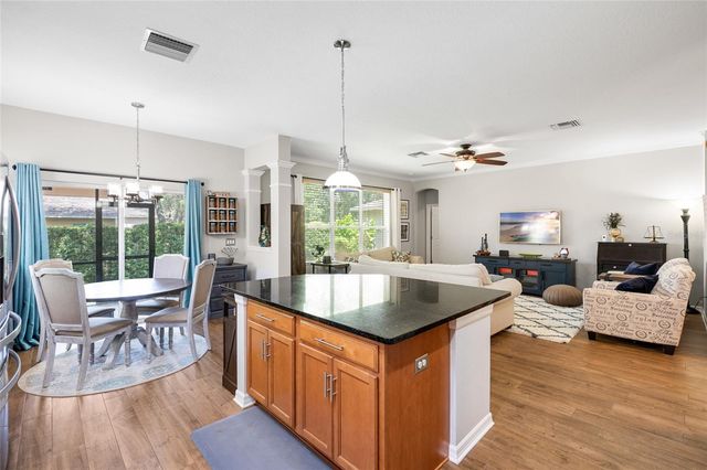 15841 STARLING WATER DRIVE, Lithia, FL 33547