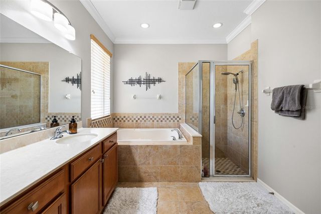 15841 STARLING WATER DRIVE, Lithia, FL 33547