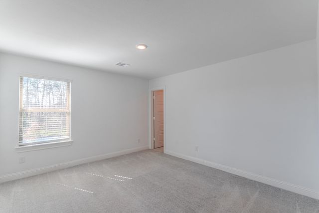 17116 Coneflower Place, Conroe, TX 77385