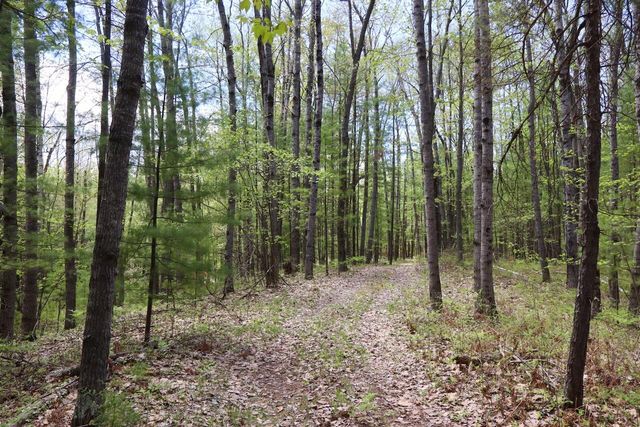 5826 S Morrison Road, Alger, MI 48610