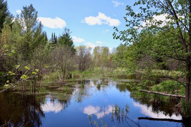5826 S Morrison Road, Alger, MI 48610