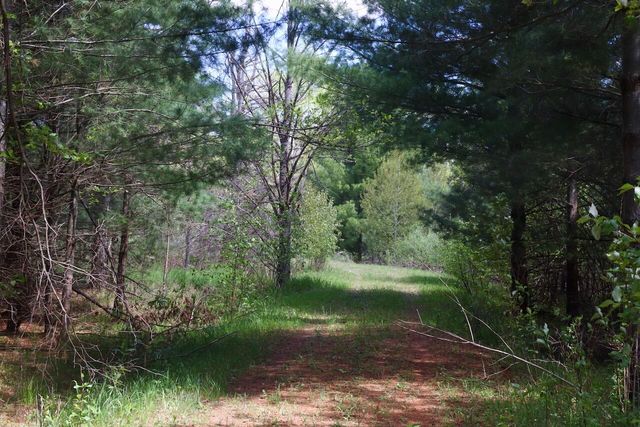 5826 S Morrison Road, Alger, MI 48610